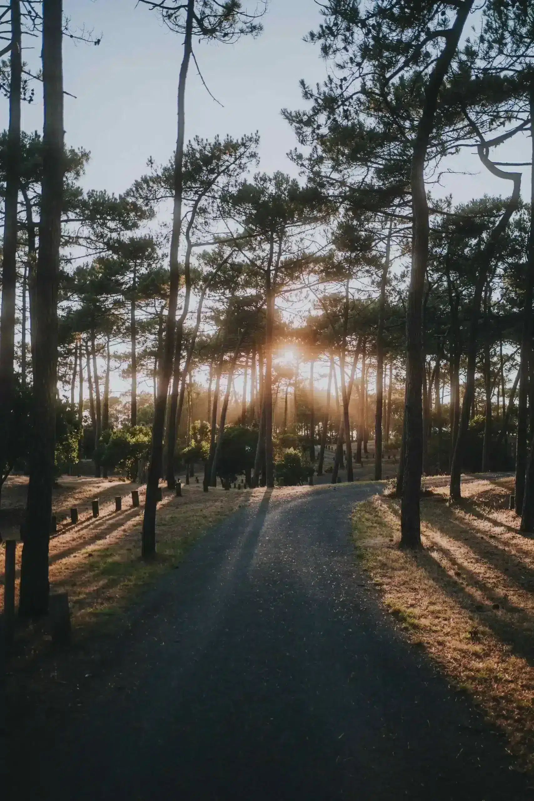 camping des familles près de Soulac-sur-Mer