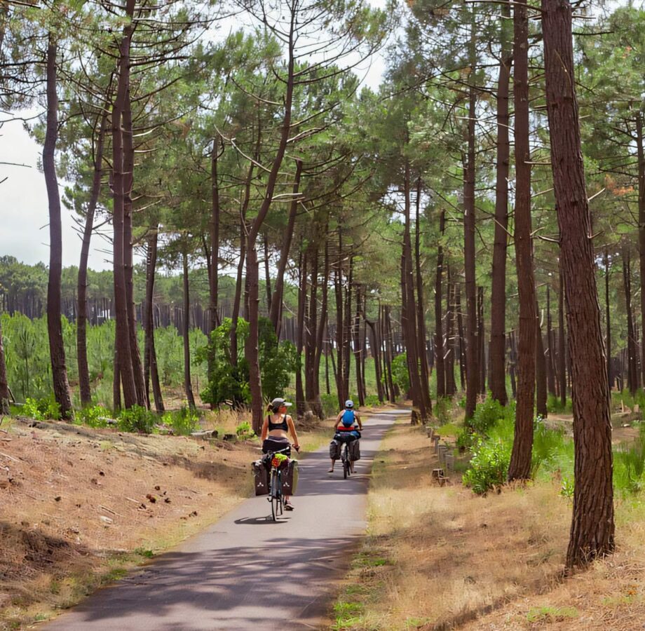 Piste cyclables au médoc