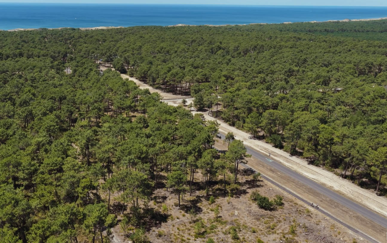 vue aérienne foret ocean